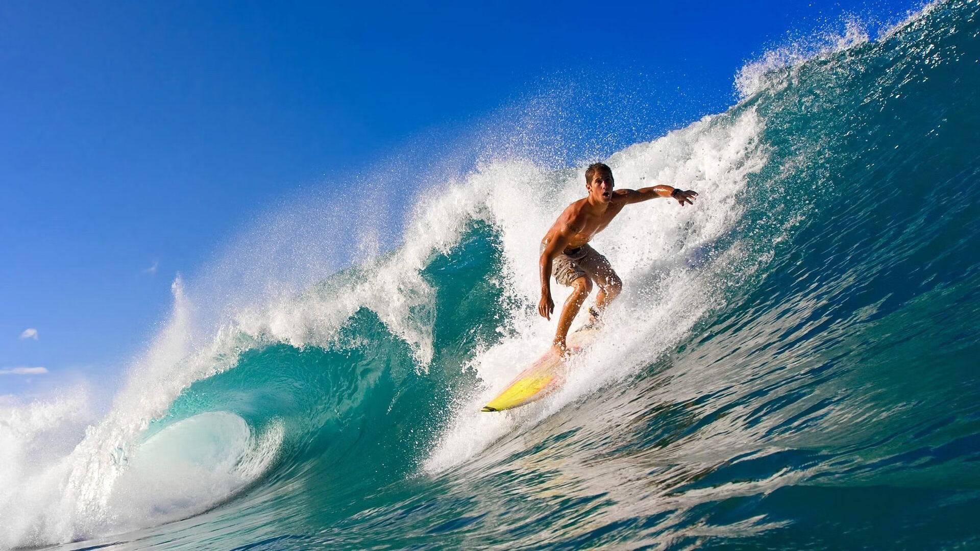 多元包容理念引领橄榄球发展，多元包容标语