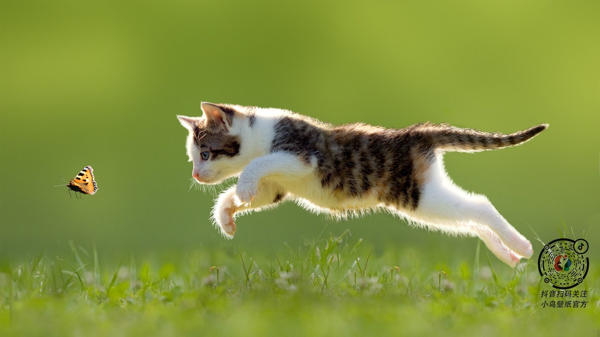 今年电竞行业年度报告:市场规模、用户增长、行业趋势全面解读